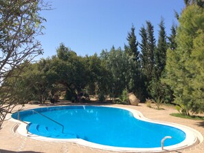 Piscine extérieure, piscine à débordement