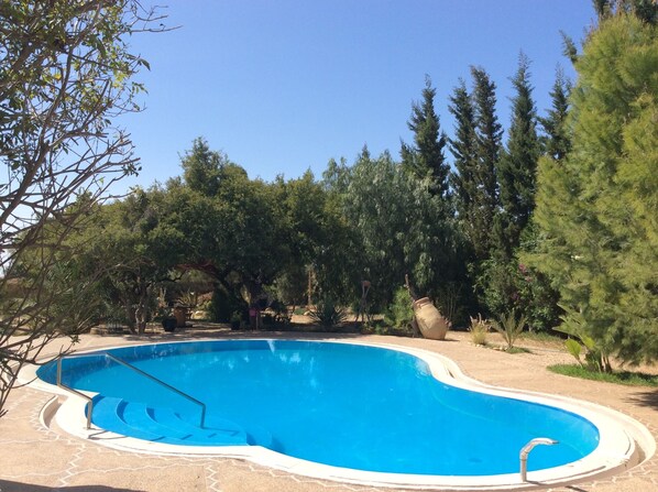 Une piscine dotée d’une terrasse carrelée, entourée d’arbres et de plantes.