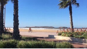 Una spiaggia con palme, un ciclista e un cielo azzurro terso.