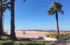 Un sendero en la playa con un ciclista, palmeras y cielo despejado.
