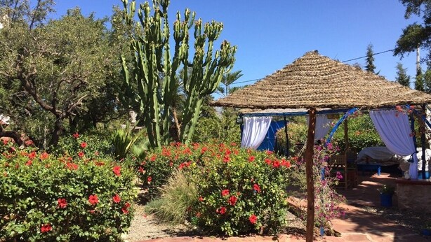 Un giardino con un gazebo a tetto di paglia, fiori rossi e un cactus alto.