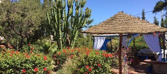 MAISONNETTE & BUNGALOW IN LUSH GREENERY