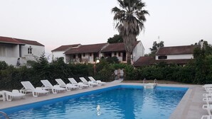 Ein rechteckiger Pool mit weißen Liegestühlen an einer Seite und einer Palme im Hintergrund.