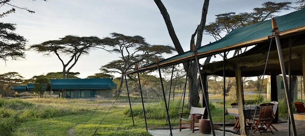 Terrace/patio - Nyikani Migration Camp (Arusha)