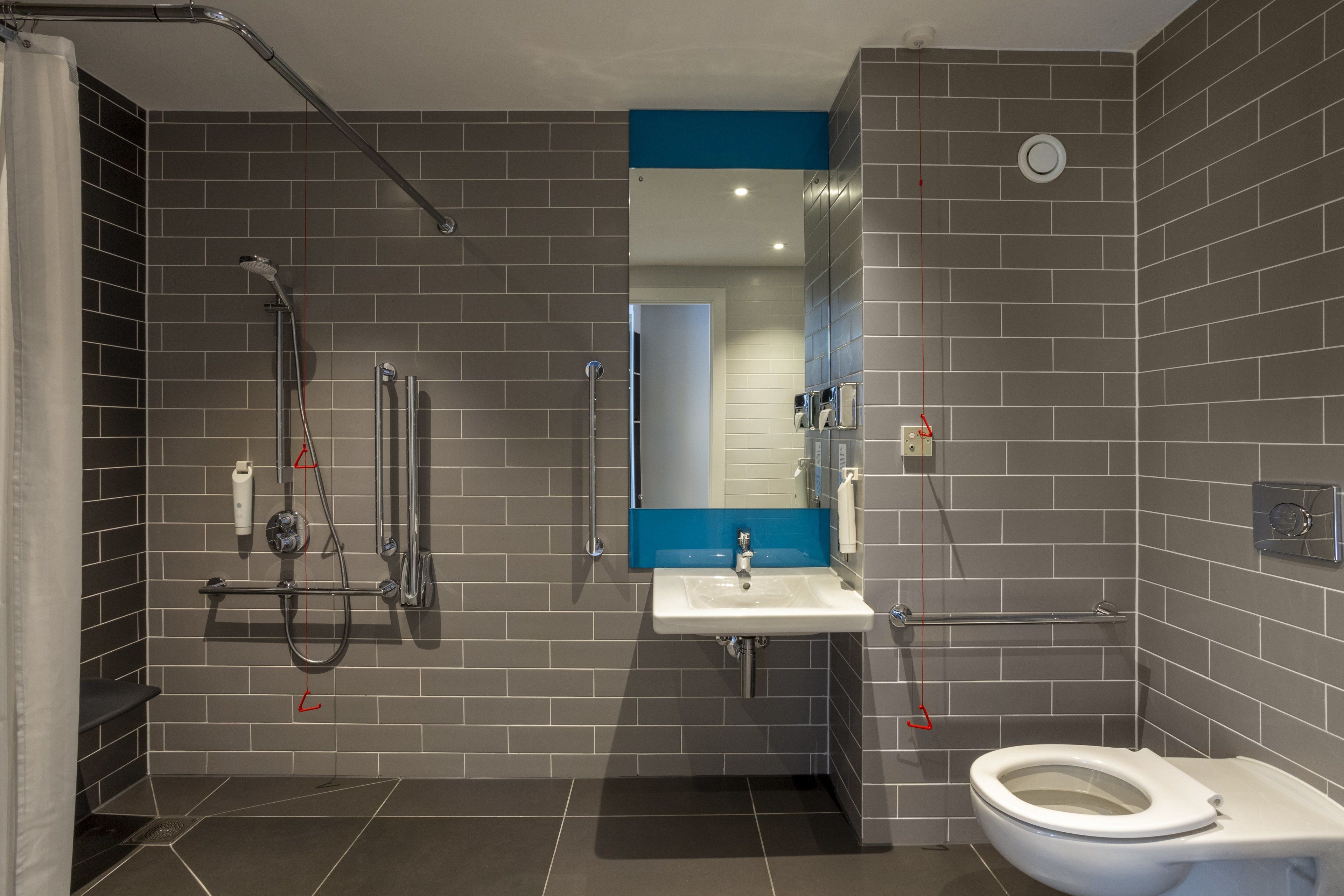 standard room, 1 double bed, accessible | bathroom | shower, hydromassage showerhead, free toiletries, hair dryer