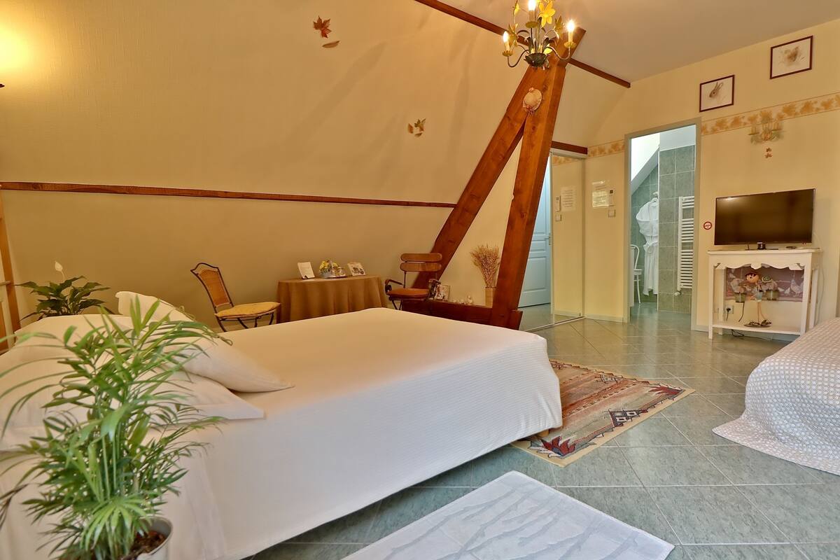 Habitación de hotel con cama, escritorio, silla, televisor y una planta en maceta.