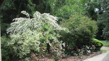 Jardin