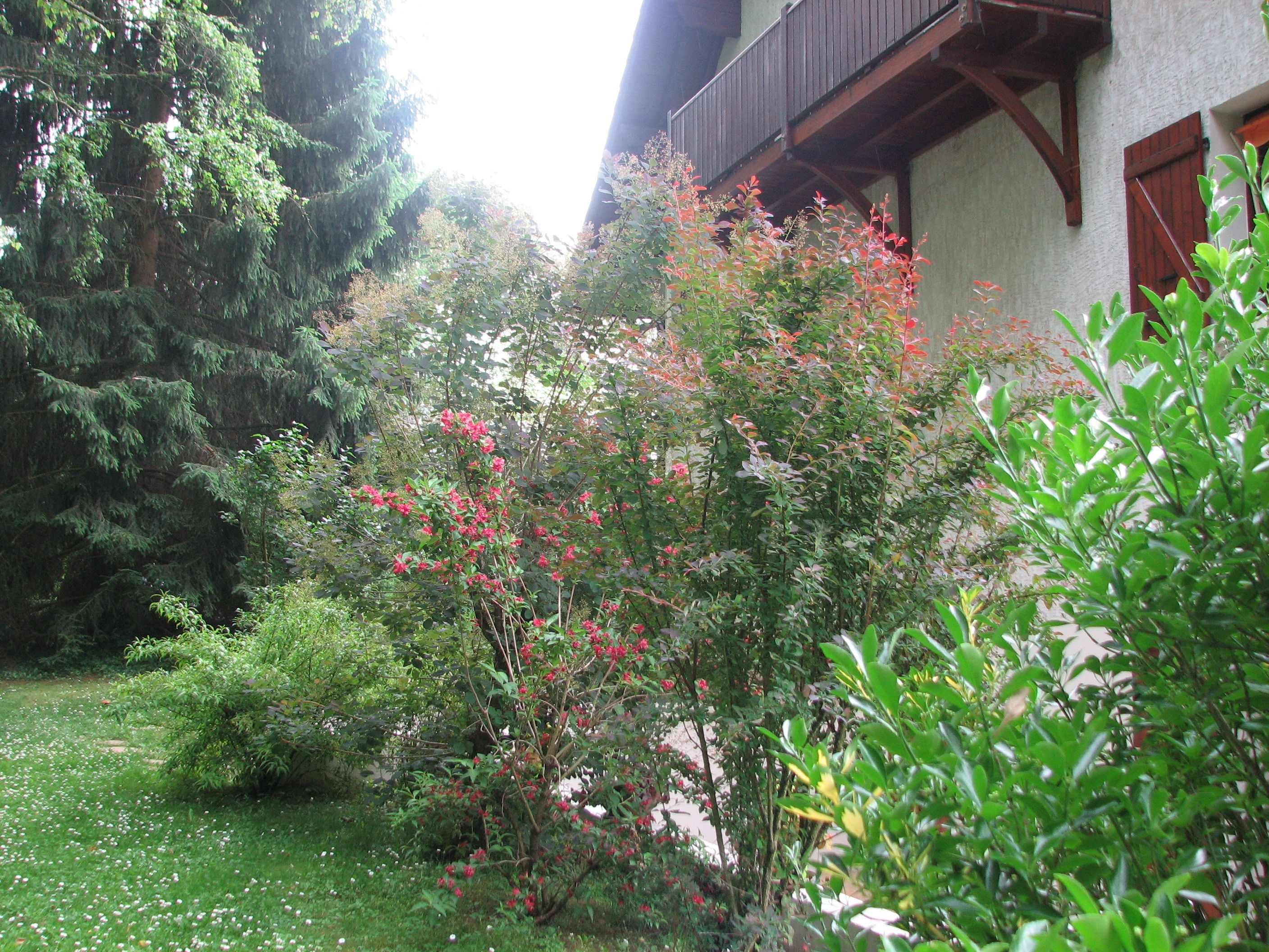 Ein Garten mit verschiedenen Pflanzen und Bäumen, ein hölzerner Balkon und ein Gebäude mit weißer Fassade.