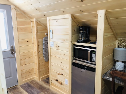 Knotty Squirrel The Nest