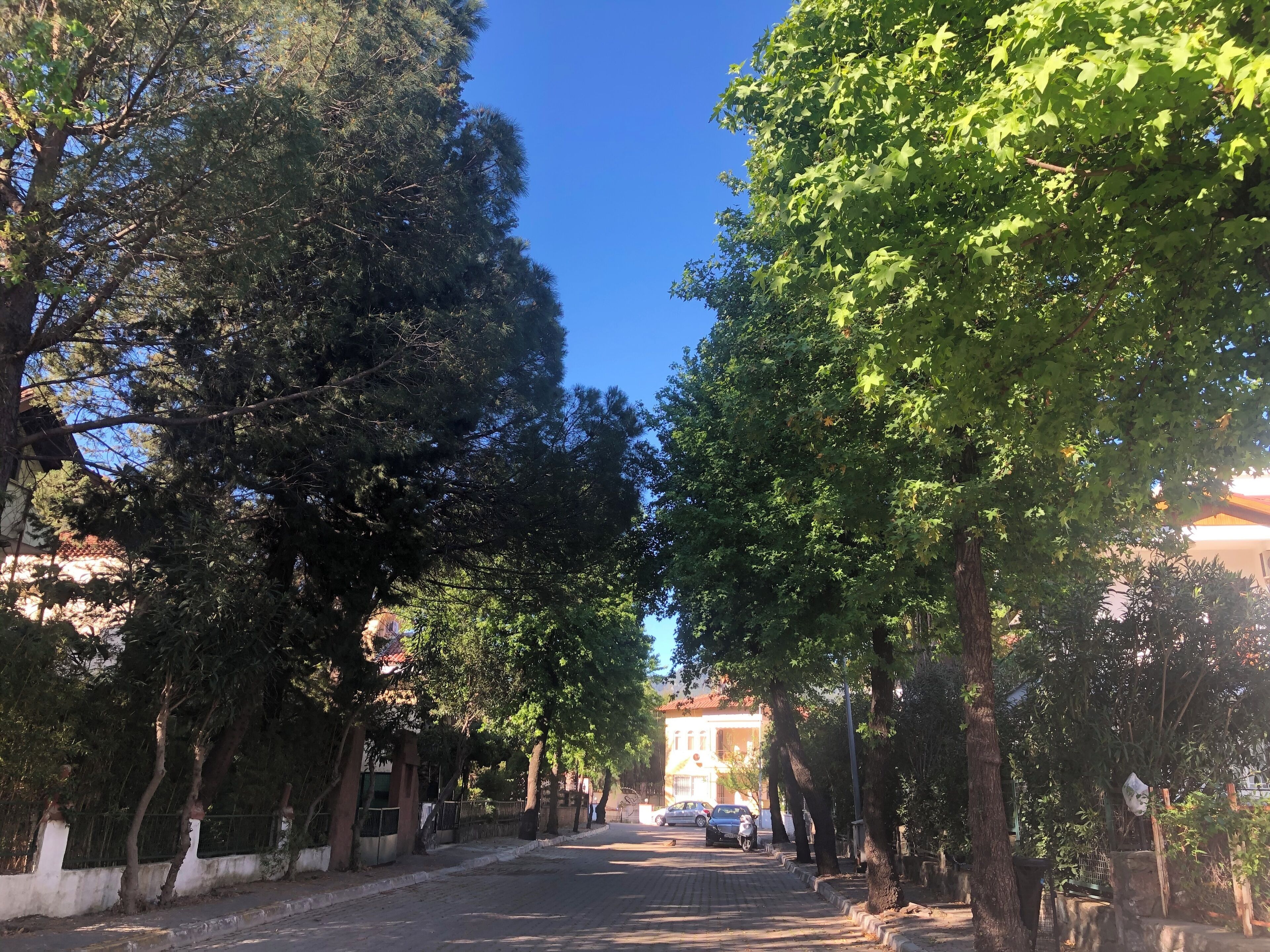 Photo - Üstün Apart