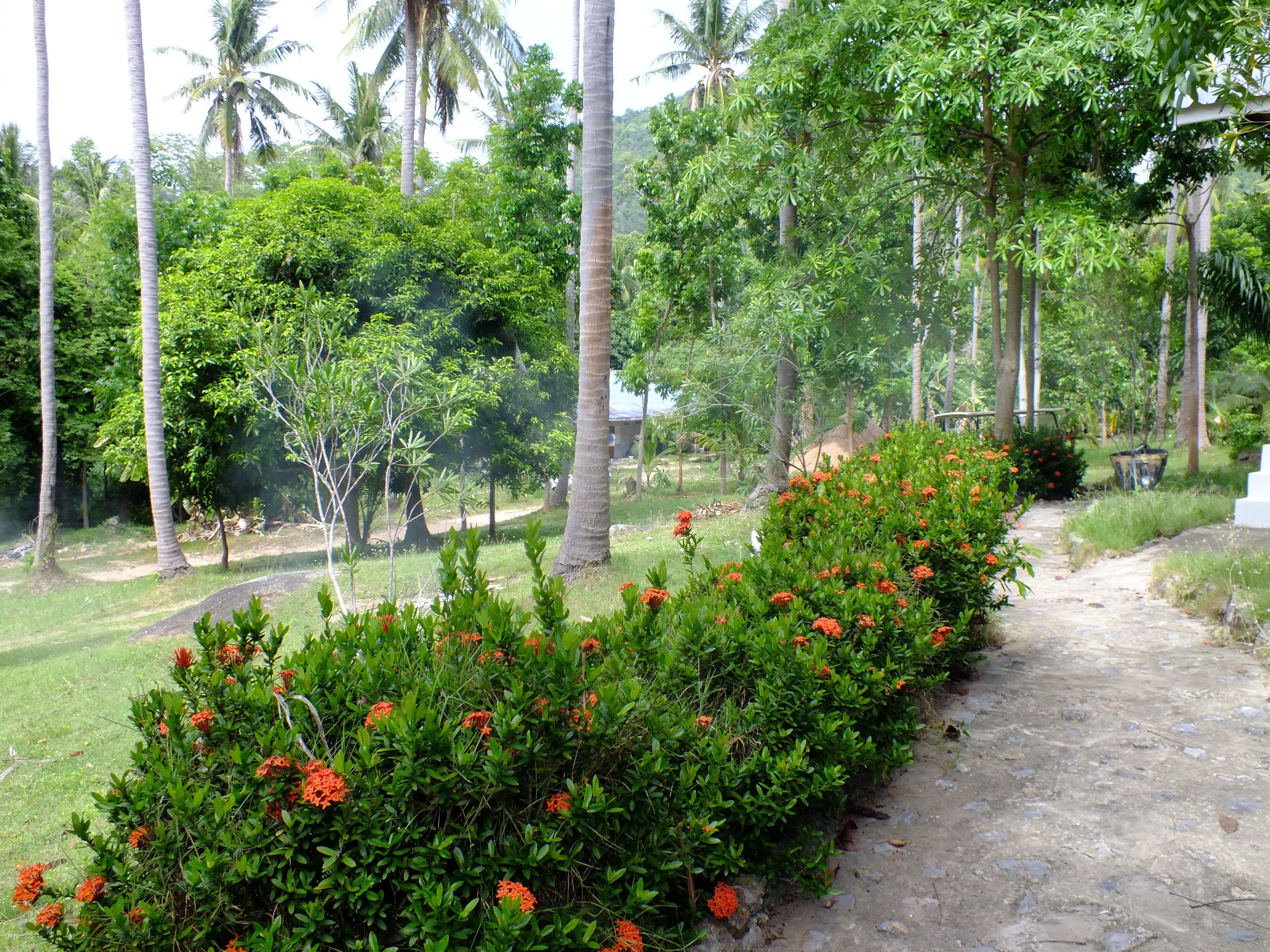Foto - Seashell Coconut Village Koh Tao