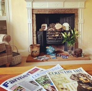 Fireplace - Lanercost Equestrian and Country (Brampton)