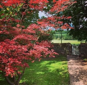 Garden - Lanercost Equestrian and Country (Brampton)