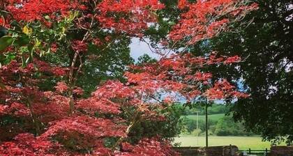Lanercost Equestrian and Country
