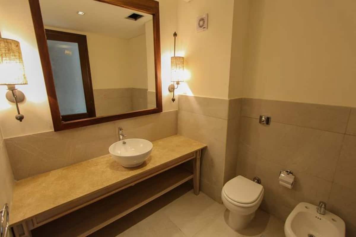 Hair dryer, bidet, towels, soap