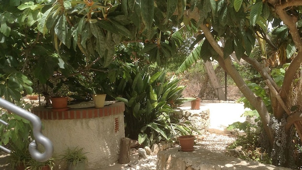 A garden with potted plants, a stone wall, and a metal spiral staircase. - B&B Terra Marique (Syracuse)