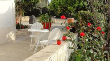 Estudio, cocineta, planta baja | Terraza o patio