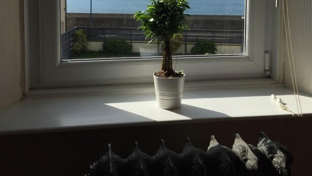 Family House | View from room - Seaview Cottage (Newbiggin-by-the-Sea)