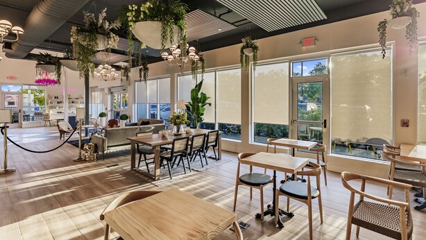 A spacious indoor area with wooden tables and chairs, large windows, and hanging plants.