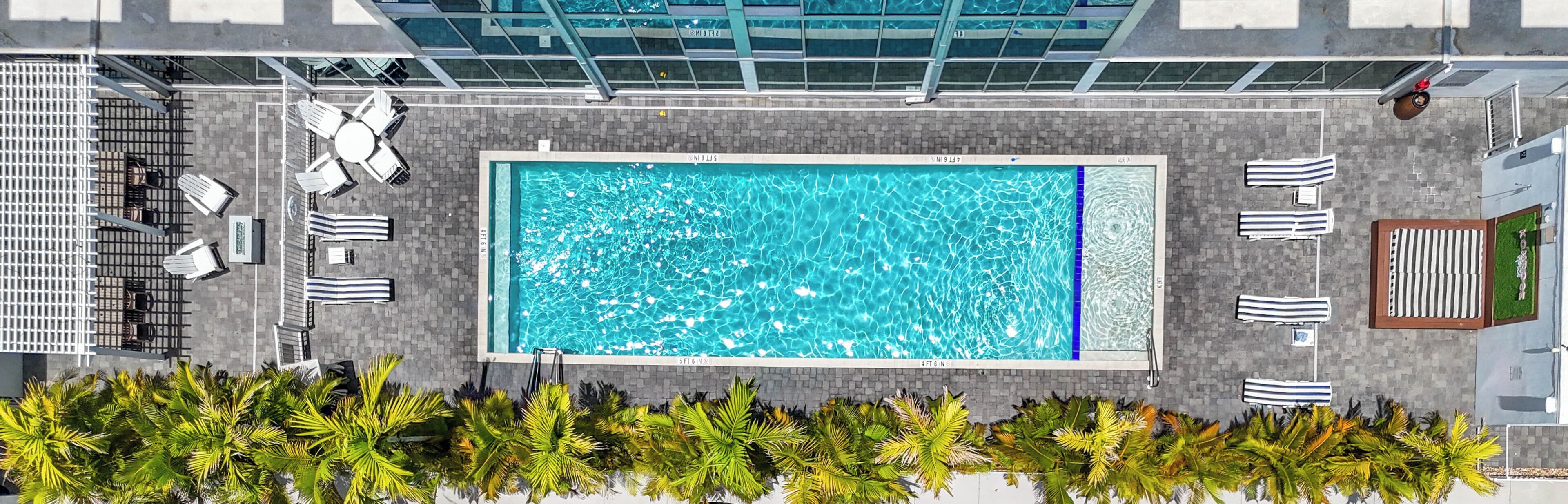 A rooftop swimming pool with a clear blue water surface, surrounded by lounge chairs and a row of palm trees.