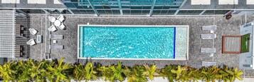 Una piscina sul tetto con superficie d'acqua cristallina, circondata da lettini e una fila di palme.