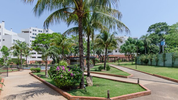 A landscaped area with palm trees, a water feature, and a pathway.