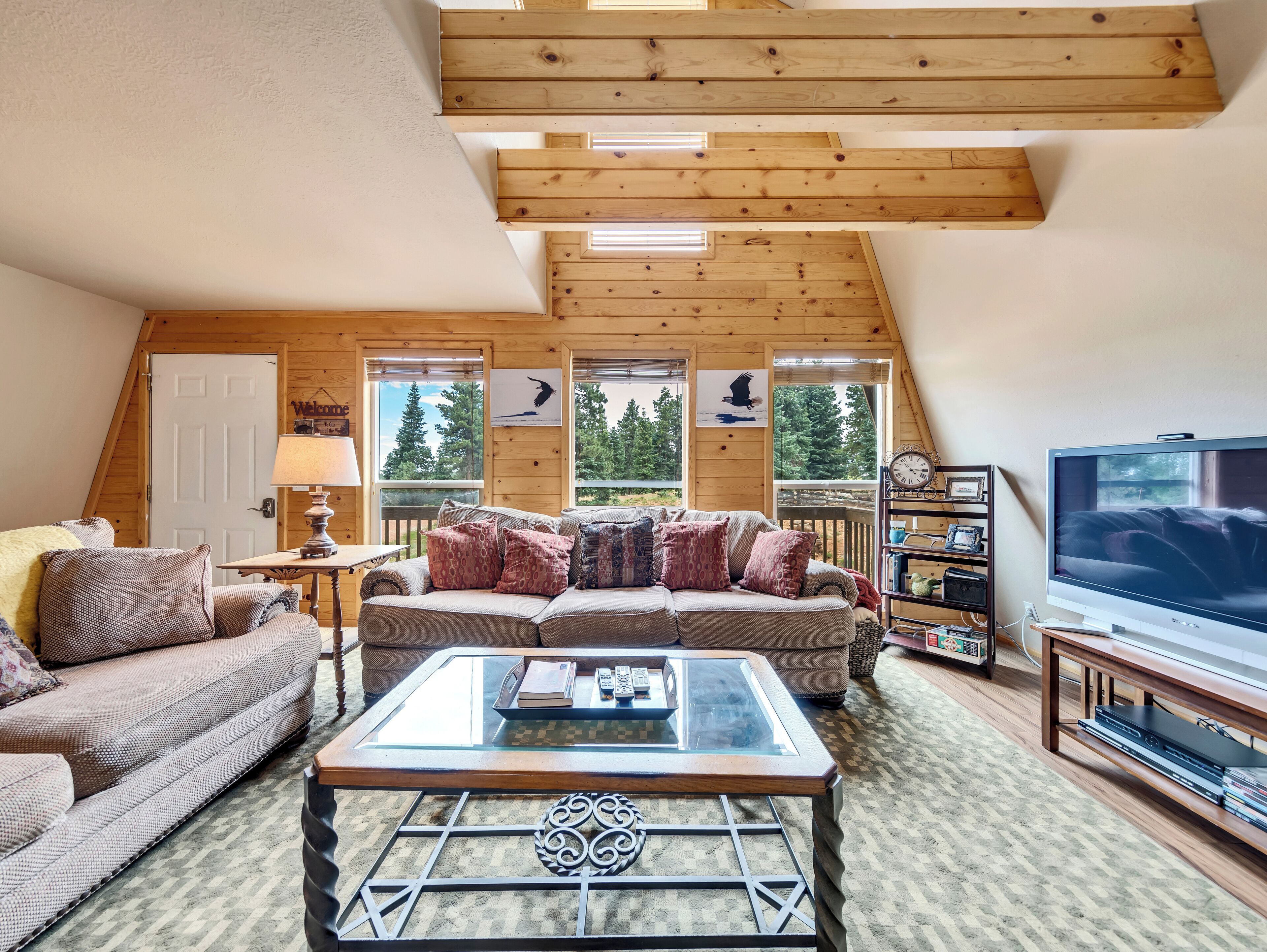 智能電視、壁爐、DVD 播放機