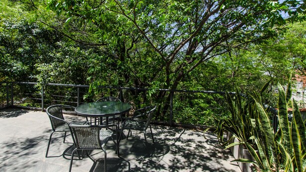 An outdoor patio with a round table and chairs, surrounded by dense foliage and a metal fence.