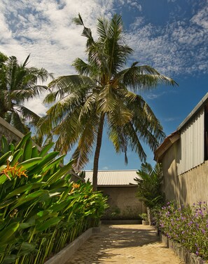 Jardín