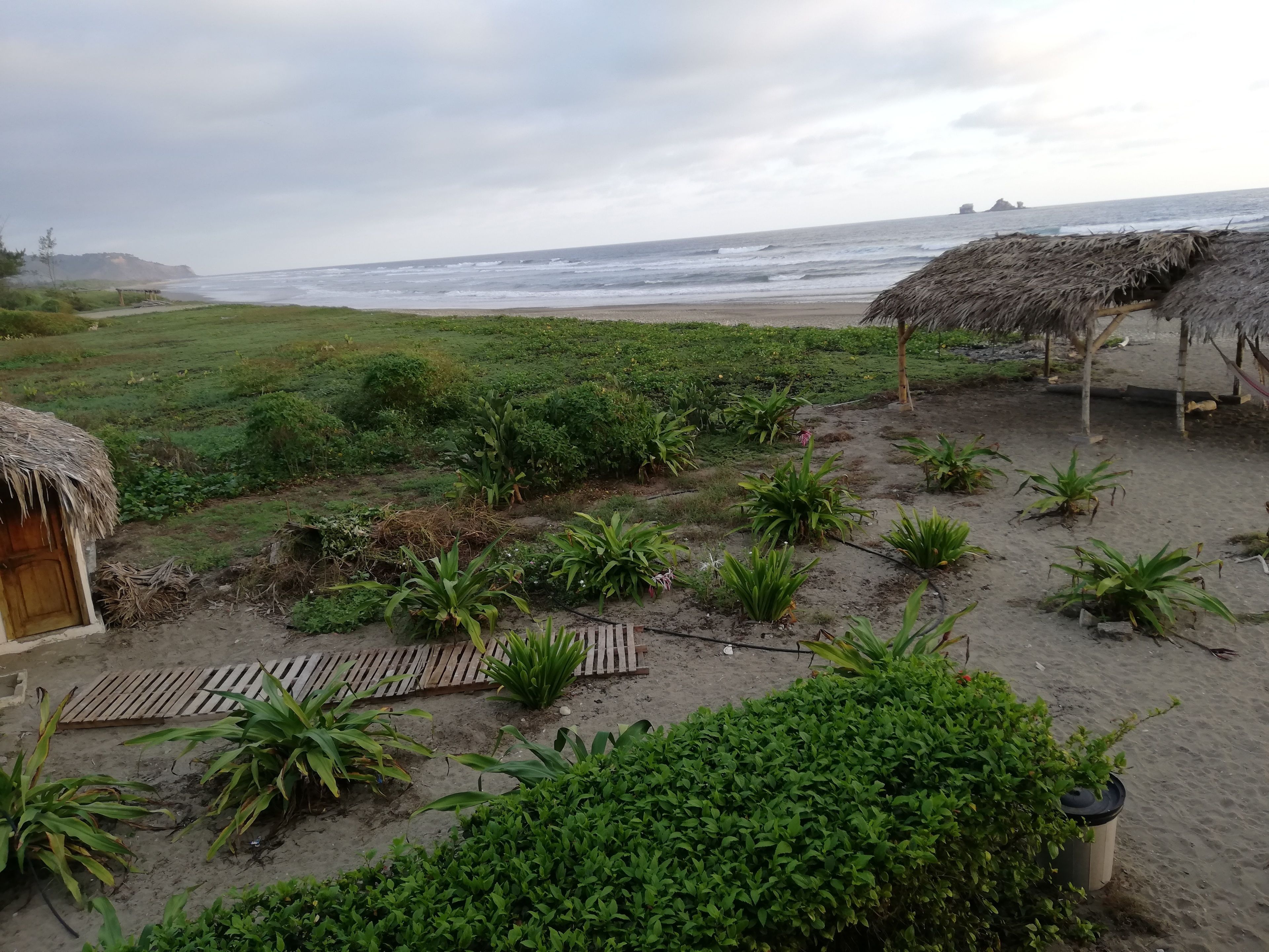 A beachside area with thatched-roof huts, a sandy path, and lush greenery.