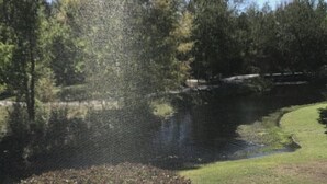 A view of a landscaped area with a pond, trees, and a grassy area. - 22C Sandpiper Bay (Sunset Beach)