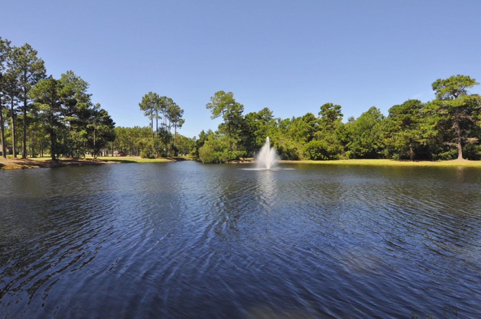 A tranquil lake with a fountain in the center, surrounded by dense trees and clear skies.