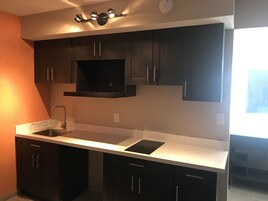 Family Studio Suite | View from room