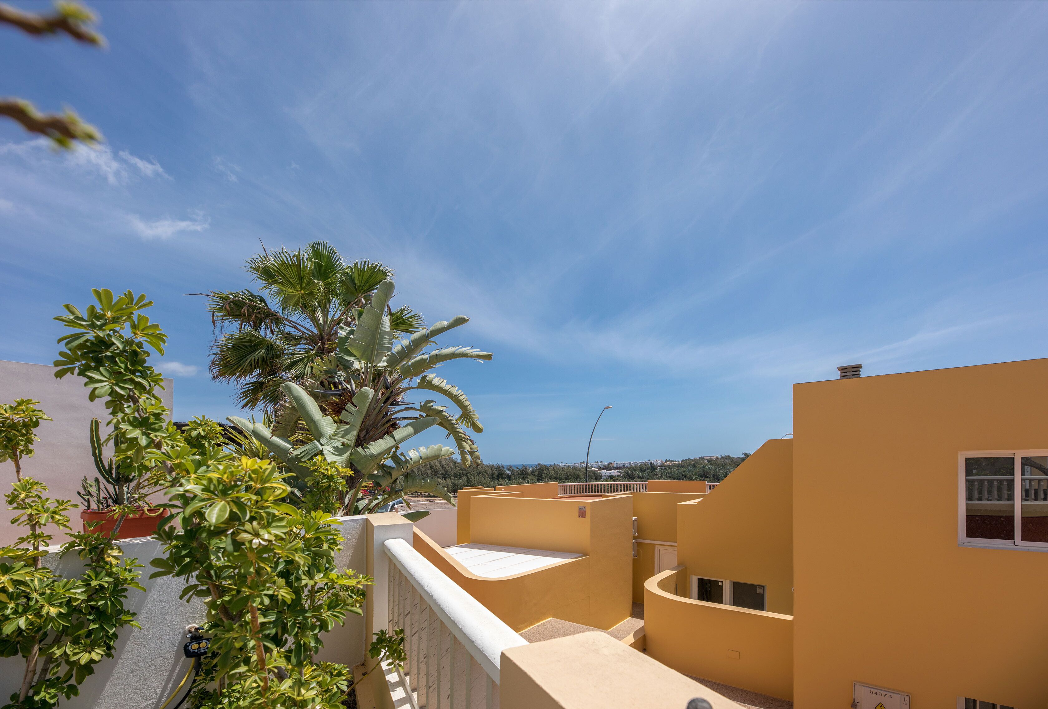 A residential area with a clear sky, a palm tree, and a building with a balcony.