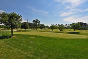 Condo (1115 Crow Creek Drive) | Golf