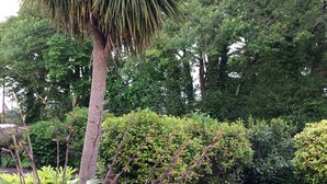 Exterior detail - Baytree Bed and Breakfast (St Austell)