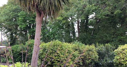 Baytree Bed and Breakfast