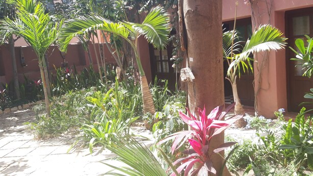 Garden view - ASAO (Dakar)