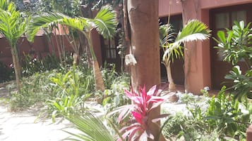 Vista al jardín