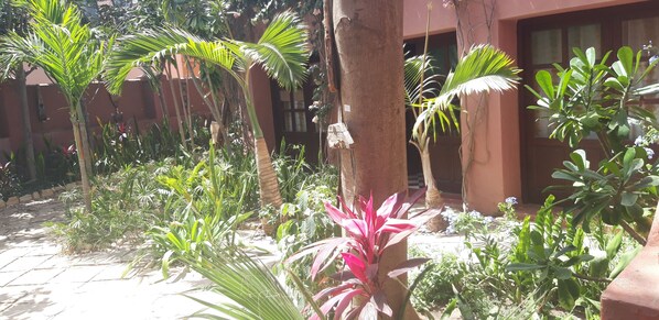 Garden view - ASAO (Dakar)