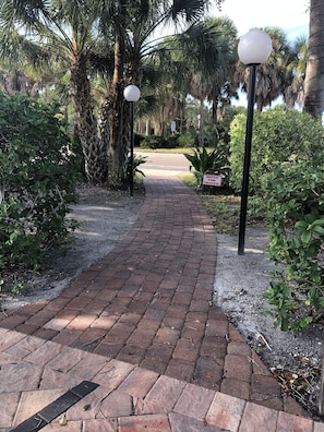 A paved pathway lined with palm trees and shrubs, leading to a road.