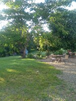 Un patio con mobiliario exterior y un árbol grande que da sombra.