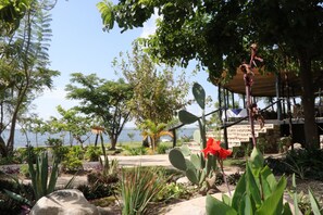 奢华平房 | 露台