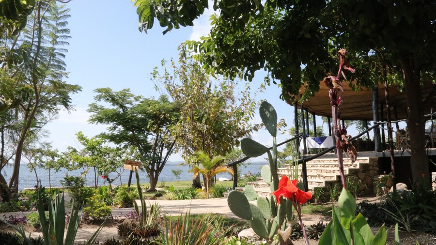 Papa's Cafe and Bungalows