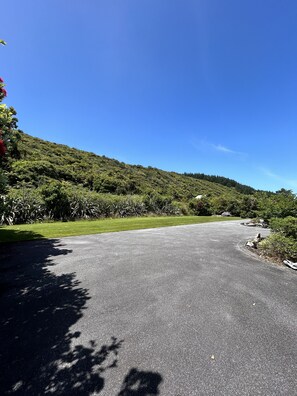 A paved road curving through a green landscape with dense trees and shrubs. - Stunning views of the Tasman Sea (Greymouth)