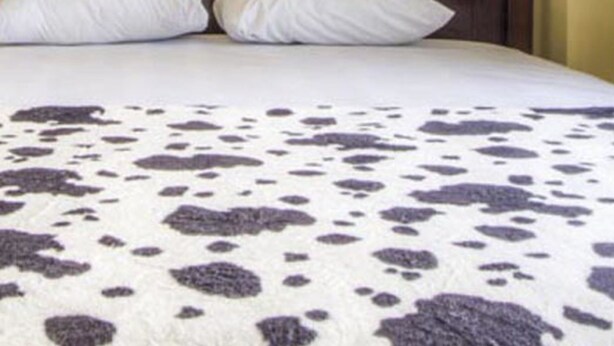 A bedroom with a bed, a headboard, and a wall-mounted painting of trees. - Golden Mar Hostal (Manta)