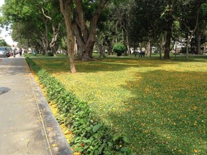 Exterior - Uli's House (Lima)