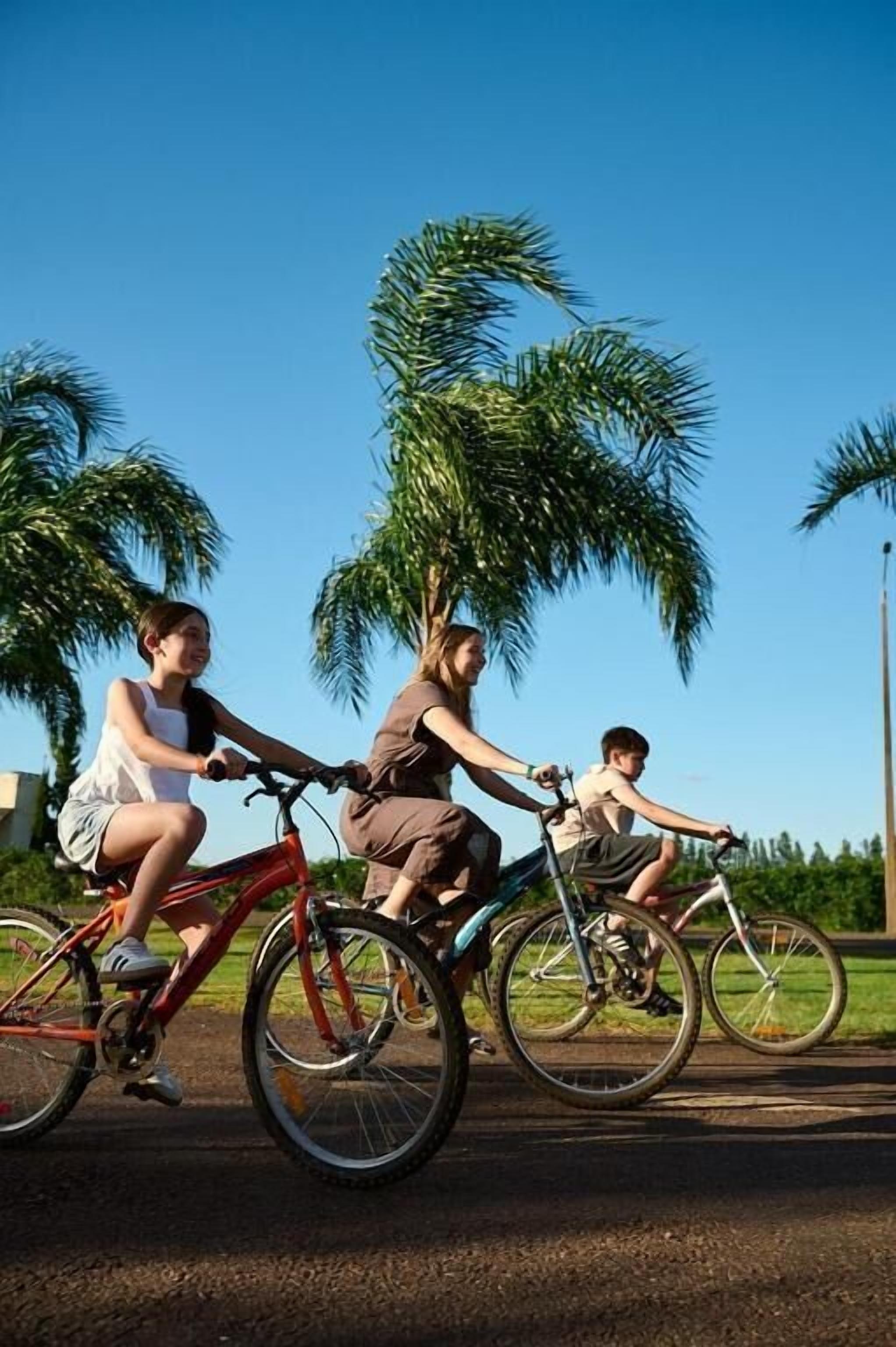 Three people riding bicycles on a paved path with palm trees in the background.