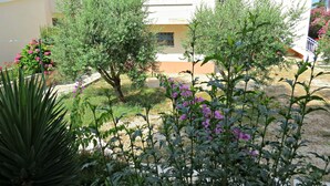 Un jardín con diversas plantas y un edificio con techo de tejas.