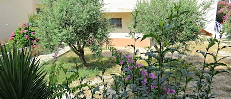 منظر من الجو على ارتفاع عالٍ